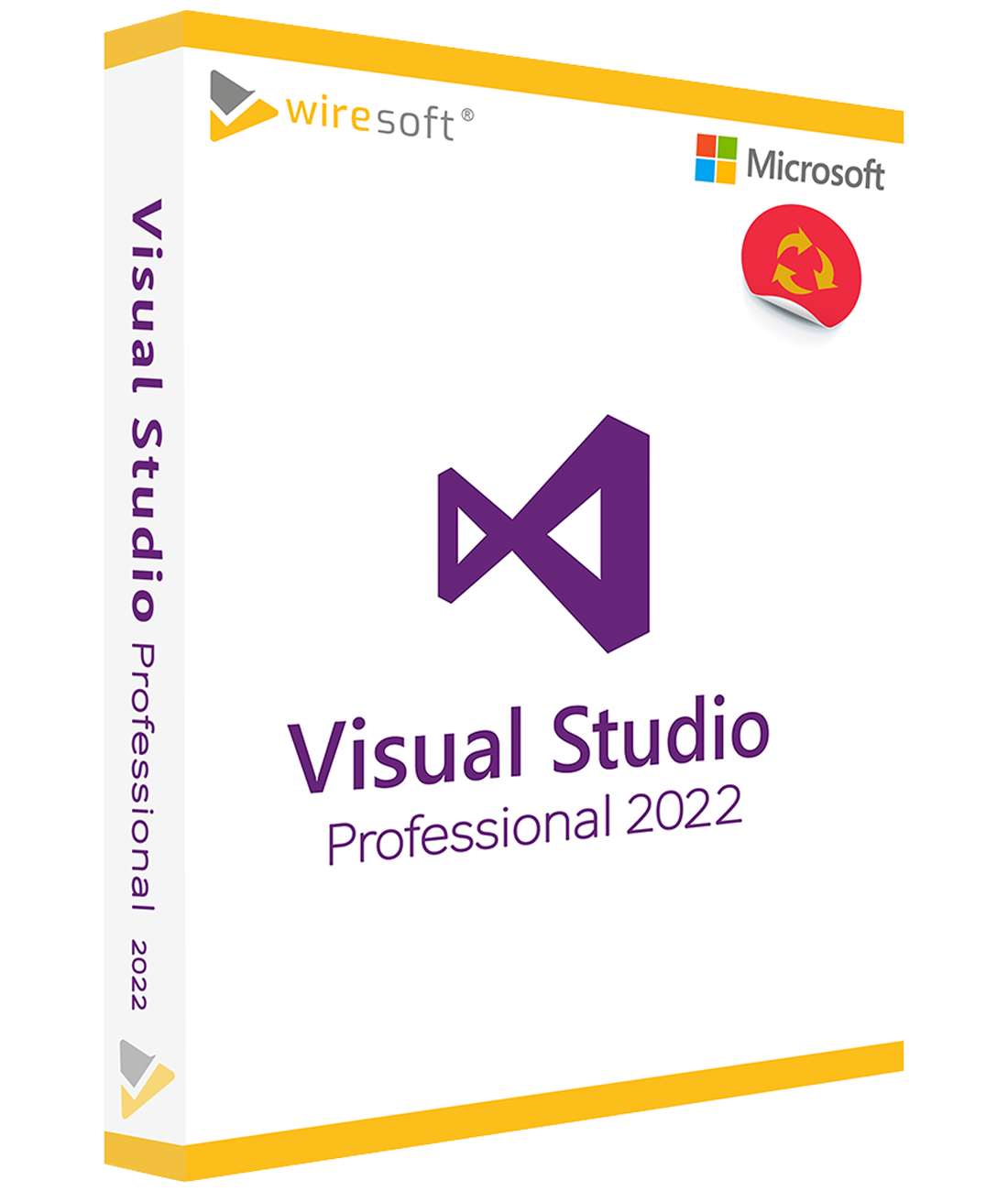 visual_studio_professional_2022