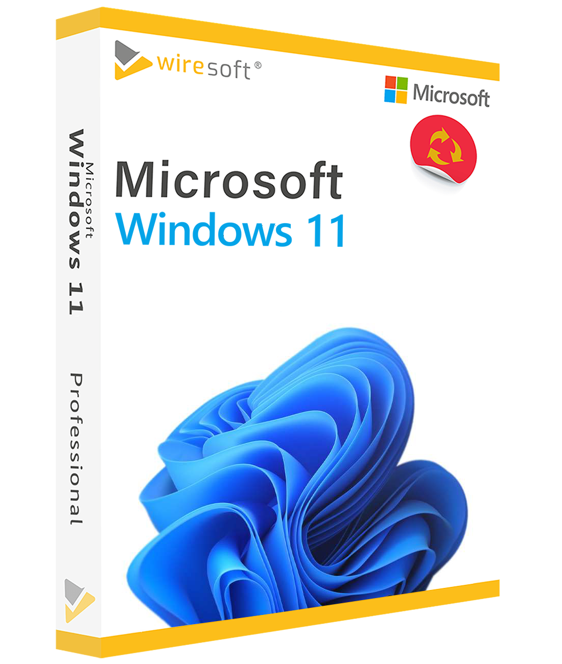 windwos_11_professional_trans