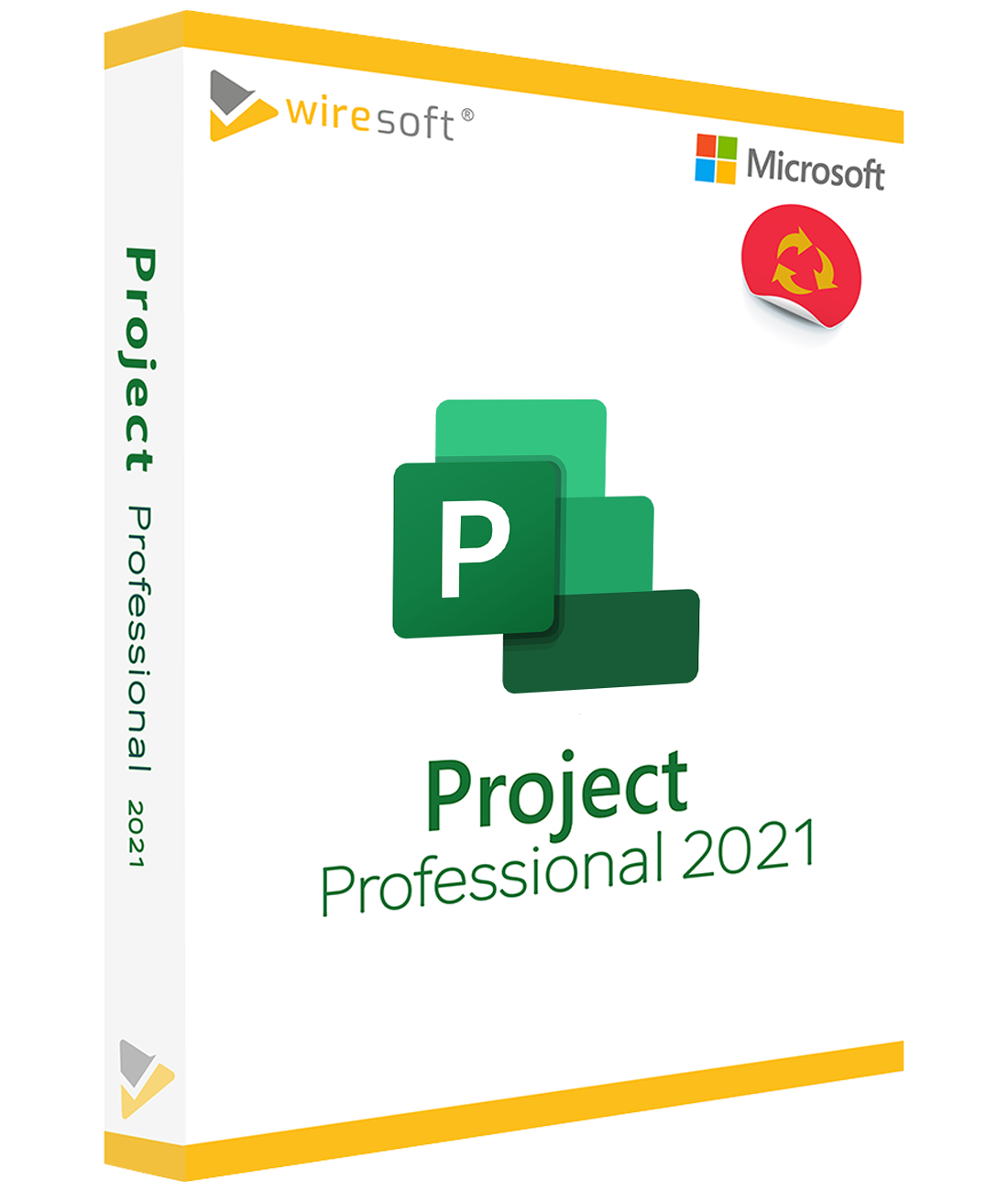 project_professional_2021YFMoWVUFEkDB9